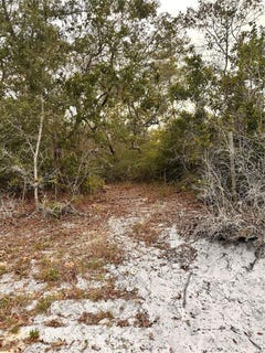 /international/us/purcell-paper-street-deltona-fl-110099203143/