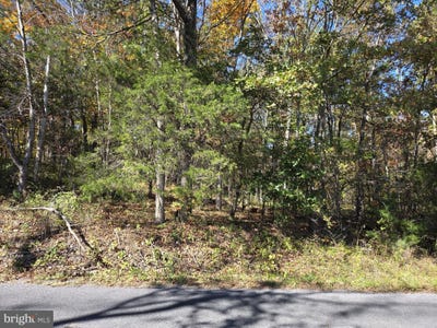 /international/us/n-egypt-bend-road-luray-va-110120663043/