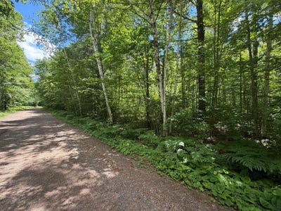 /international/us/maplestone-rd-lot-1-minocqua-wi-110108982030/