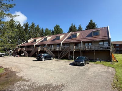 /international/us/85-lochoa-drive-davis-wv-110098305176/?lang=zh-cn