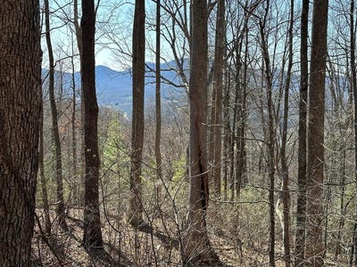 /international/us/lot-80-asheland-cove-young-harris-ga-110107803401/
