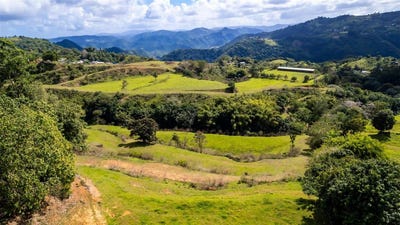 /international/us/road-152-camino-las-orquideas-road-barranquitas-pr-110106843236/