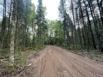 /international/us/fadness-road-lot-1-winter-wi-110119946706/