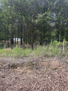 /international/us/1440-hideout-road-pleasant-plains-ar-110108252672/