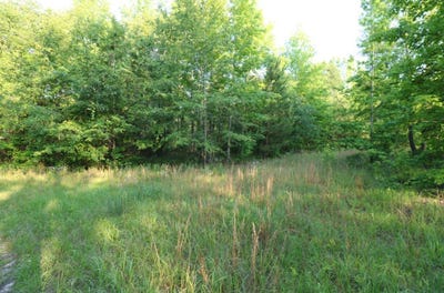 /international/us/0-kings-mill-road-tract-d-wrens-ga-110100300645/?lang=es