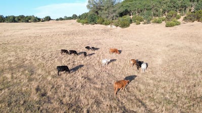 /international/us/12244-south-camanche-parkway-south-burson-ca-110100396006/?lang=zh-tw