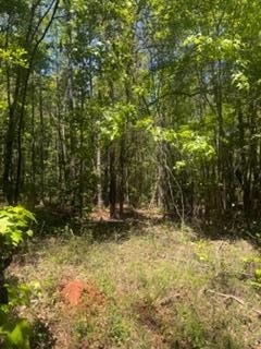 /international/us/12-indian-lake-s-d-clayton-al-110108034713/