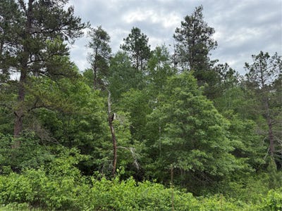 /international/us/aspen-lane-lot-51-barnes-wi-110107955895/