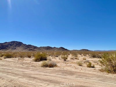 /international/us/arco-joshua-tree-il-110109853641/
