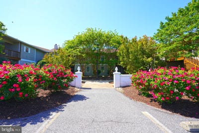 /international/us/33955-middleton-circle-lewes-de-110099523508/