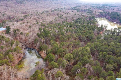 /international/us/958-smyer-lake-road-lot-0-leeds-al-110106094154/