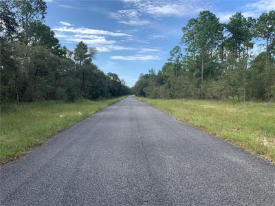 /international/us/se-136th-terr-lot-9-morriston-fl-110094730421/