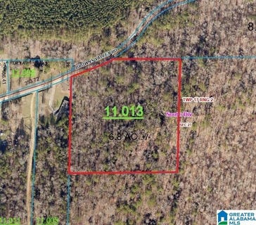 /international/us/browns-valley-road-lot-0-pell-city-al-110107166563/