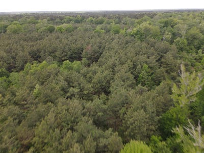 /international/us/county-road-29-hamburg-ar-110107540894/