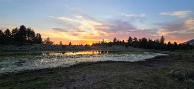 /international/us/tract-10-hall-creek-helmville-mt-110108281821/