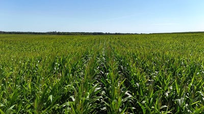 /international/us/tbd-bare-land-110th-st-fredericksburg-ia-110098134245/?lang=es