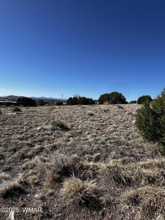 /international/us/58-short-lane-concho-az-110103504099/