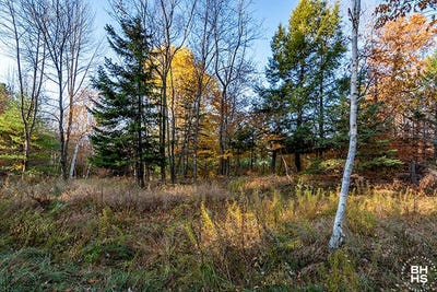 /international/us/mt-pisgah-park-saranac-lake-ny-110095419905/