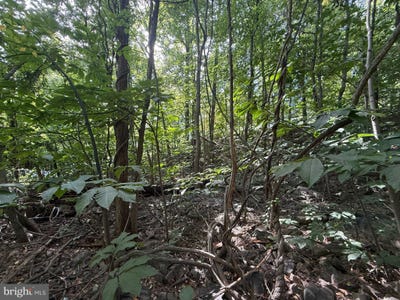 /international/us/dogwood-road-lot-60-harrisburg-pa-110110378957/