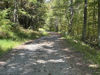 /international/us/possum-hollow-road-lot-3-terra-alta-wv-110102448019/