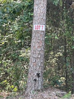 /international/us/pleasant-ridge-road-lot-7-greers-ferry-ar-110120057230/
