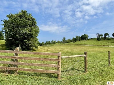 /international/us/168-shooter-lane-burkesville-ky-110100530450/