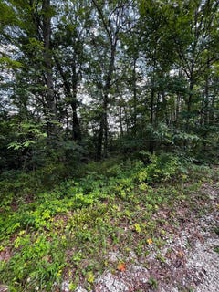/international/us/0-lot-80-ivy-lane-wellington-ky-110101048296/