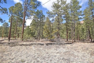 /international/us/cool-pines-lot-49a-jemez-springs-nm-110107208946/