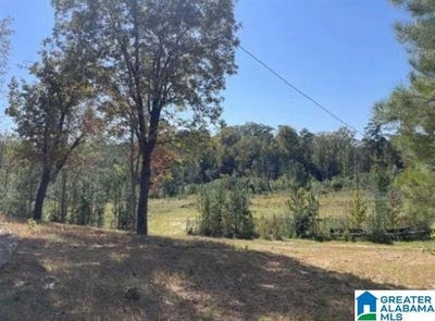 /international/us/hill-creek-drive-lot-00-west-blocton-al-110109697926/