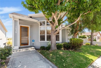 /international/us/1536-silver-hermosa-beach-ca-110106271509/