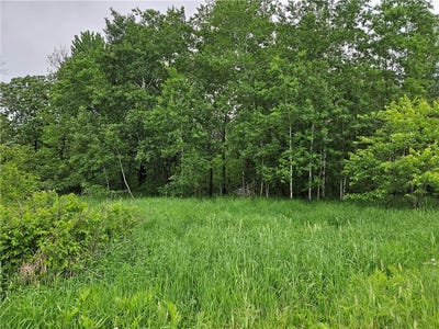 /international/us/20-acres-22-1-4-street-chetek-wi-110100268942/