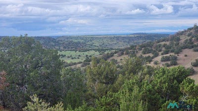 /international/us/21-wagon-circle-quemado-nm-110109982377/
