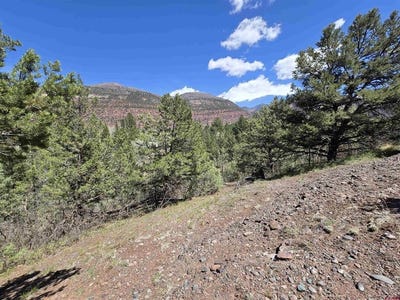 /international/us/238-pine-ridge-ridgway-co-110099173146/