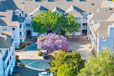 /international/us/902-sunrose-104-sunnyvale-ca-110107882271/