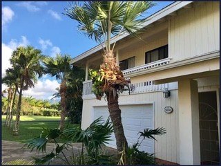 /international/us/5056-kamamalu-lp-princeville-hi-110108539953/