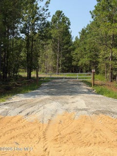 /international/us/netherland-road-midville-ga-110109585318/