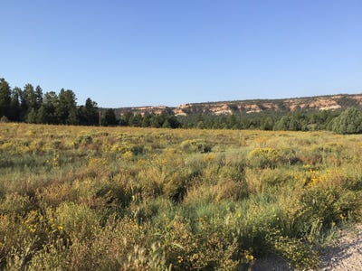 /international/us/e-elk-drive-lot-14-ramah-nm-110090944952/