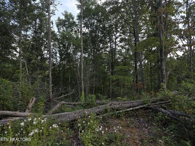 /international/us/mill-creek-rd-lot-12-sunbright-tn-110120036922/