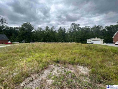 /international/us/wildshall-darlington-sc-110107263893/