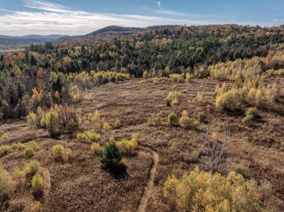 /international/us/birch-tree-lane-lot-3-cambridge-vt-110103646238/