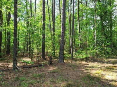 /international/us/0-fish-road-dalzell-sc-110101341554/?lang=zh-cn