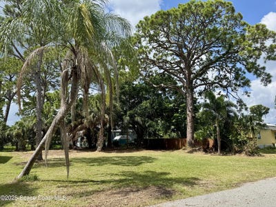 /international/us/1815-orris-avenue-merritt-island-fl-110101072221/?lang=zh-cn