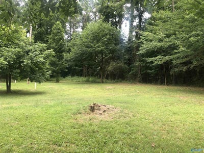 /international/us/lots-18-19-moneys-bend-section-5-cedar-bluff-al-110100470784/
