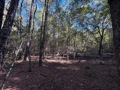 /international/us/hackberry-lot-16-village-mills-tx-110105936882/