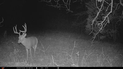 /international/us/0-n-385-rd-stuart-ok-110103182340/