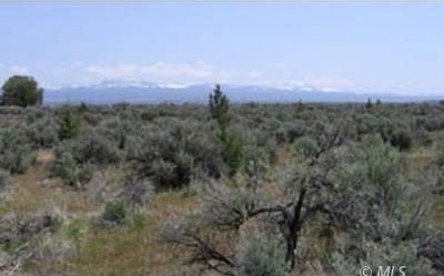 /international/us/lot-hafer-hills-estates-st-alturas-ca-110096742809/