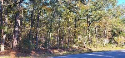 /international/us/407-wade-hampton-road-hampton-sc-110103593698/
