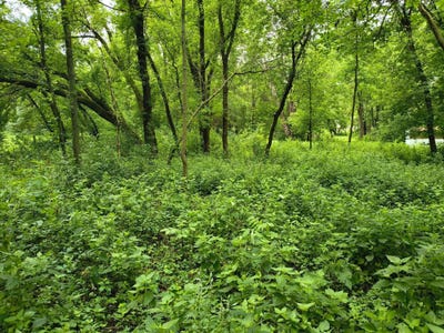 /international/us/ne-4th-st-glenwood-mn-110109296556/