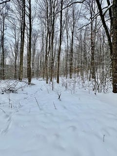 /international/us/brizzee-hollow-genesee-pa-110104030868/