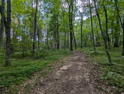/international/us/fosmo-drive-lot-2-webster-wi-110106670851/